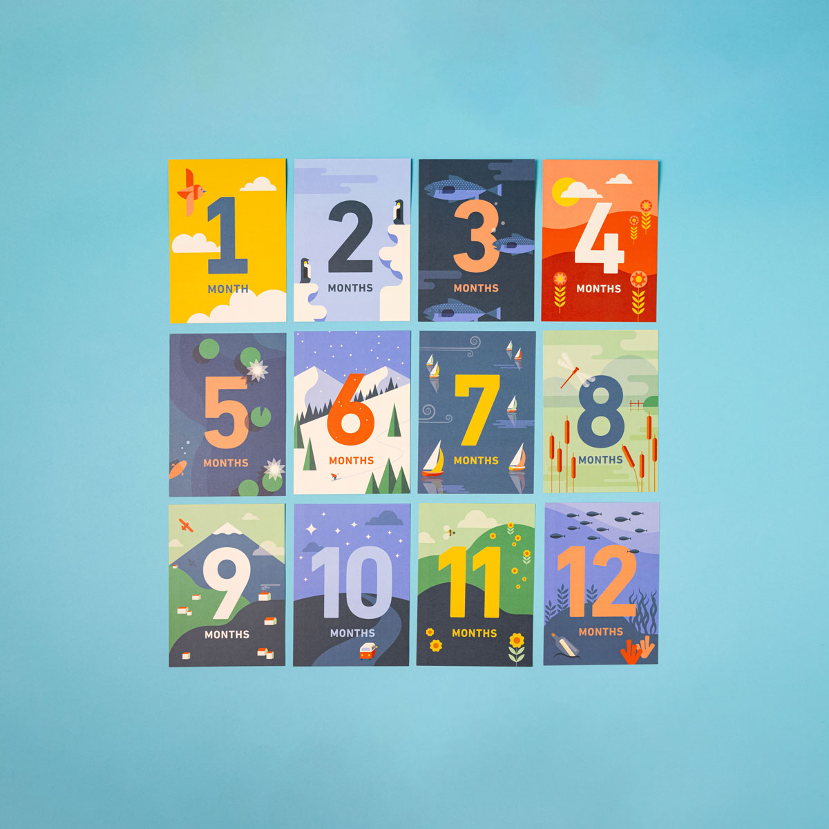 Baby Milestone Cards (12 Months)