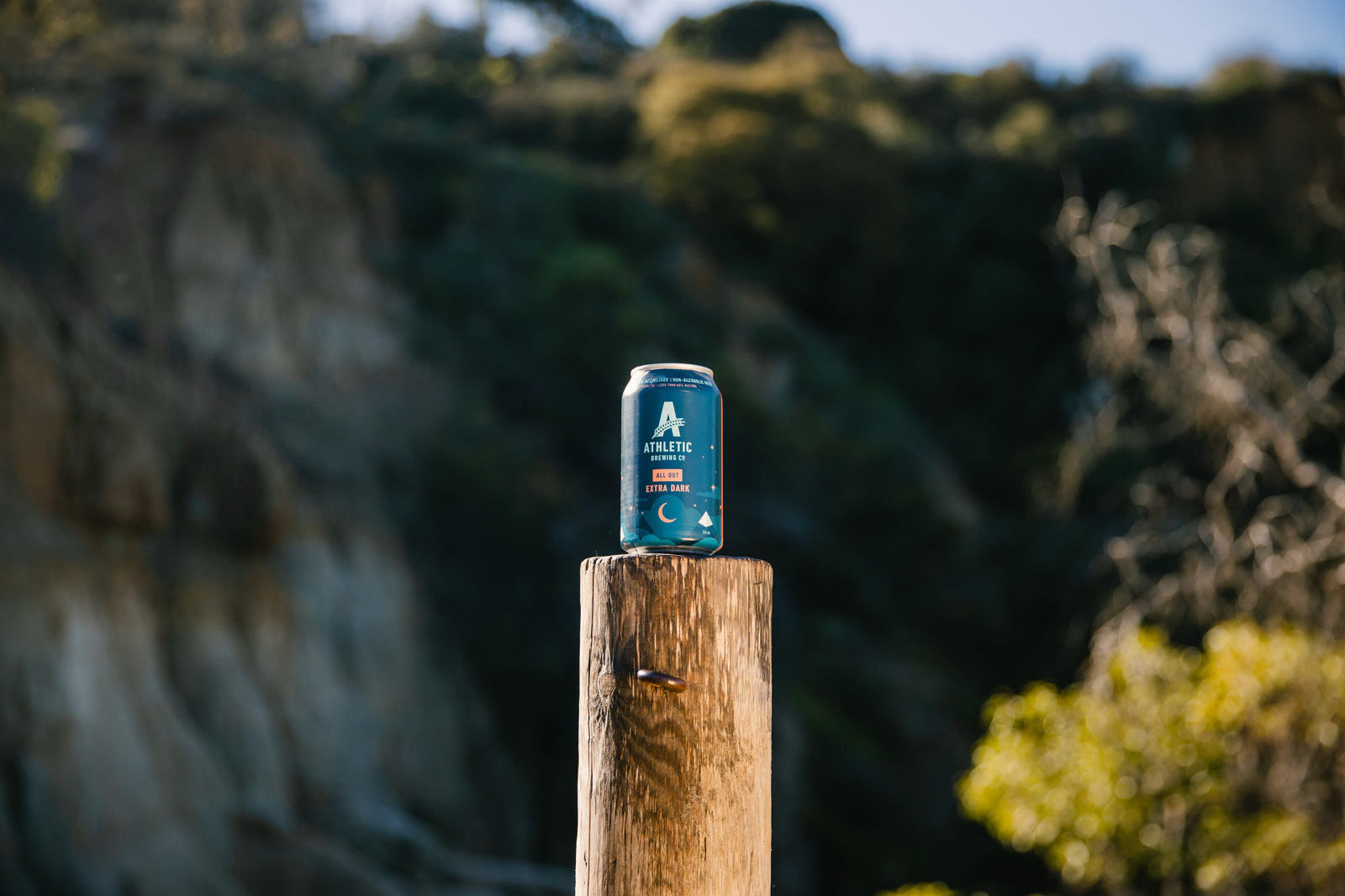 All Out can on a fence post