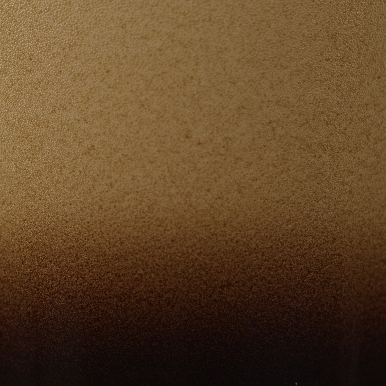 Close-up of the frothy nitro head on a dark beer.