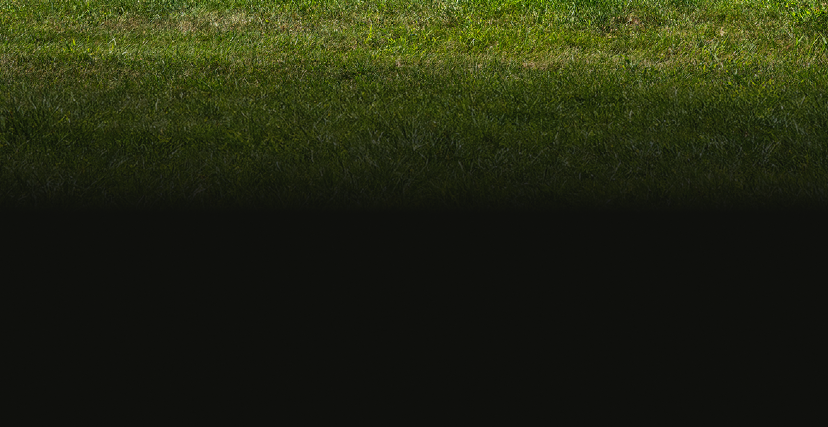grass background