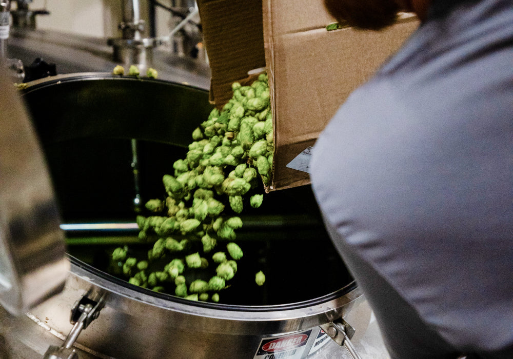 Fresh green hop cones being poured from a cardboard box into a stainless steel brewing vessel at Athletic Brewing Company, highlighting the ingredients used in the brewing process.