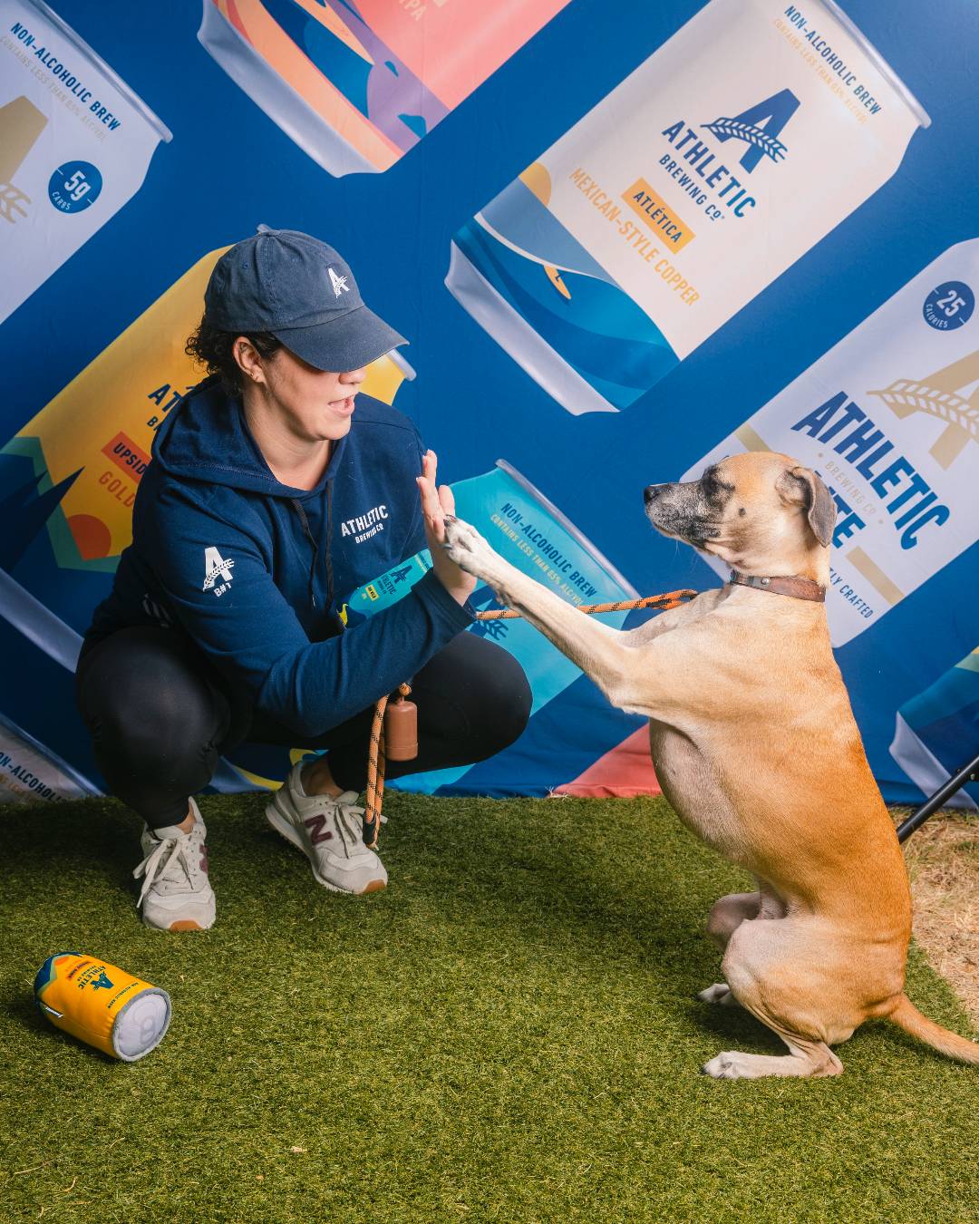 person high-fiving their dog