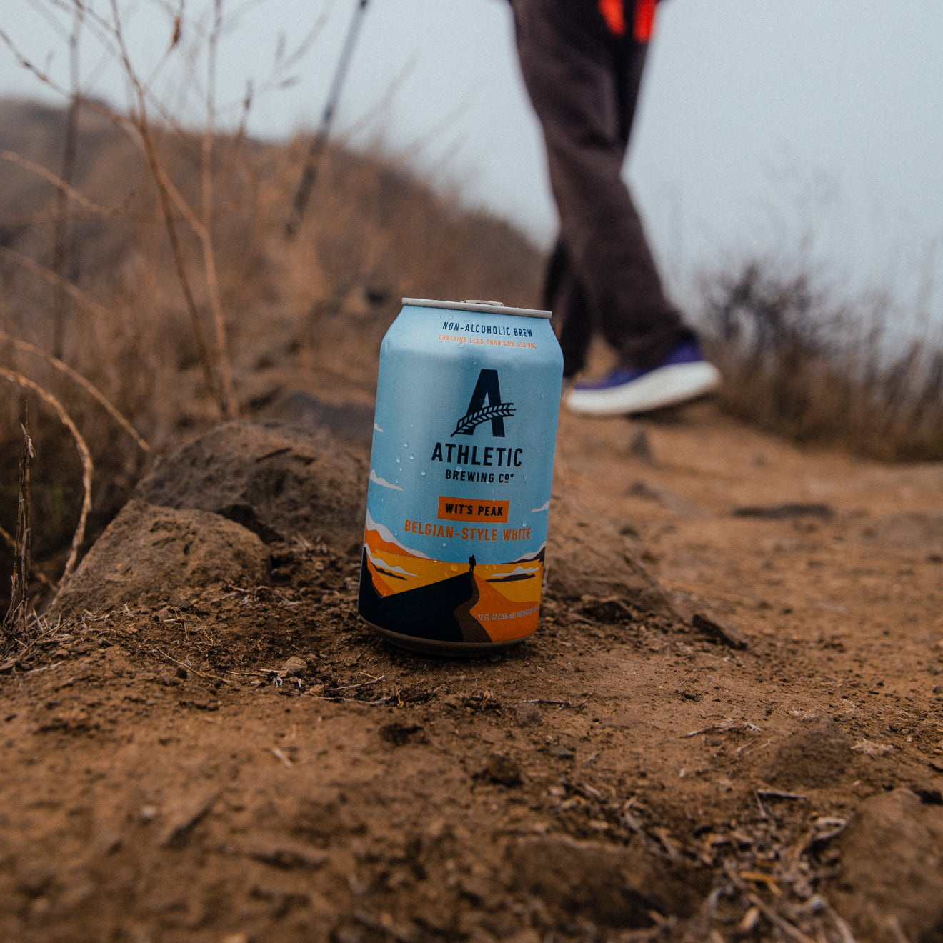 Can of Wit's Peak on a hiking path