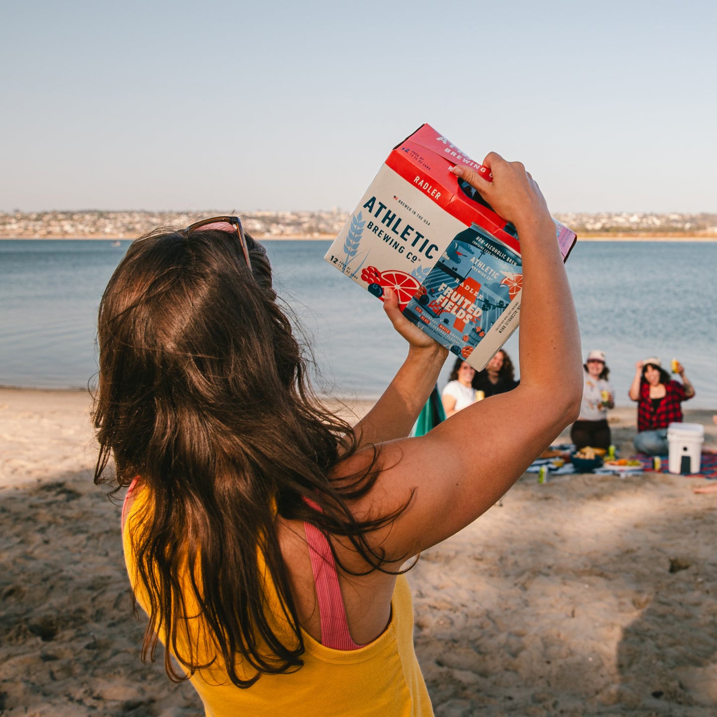 Person holding a 12 pack of Fruited Fields non alcoholic brew on the beach