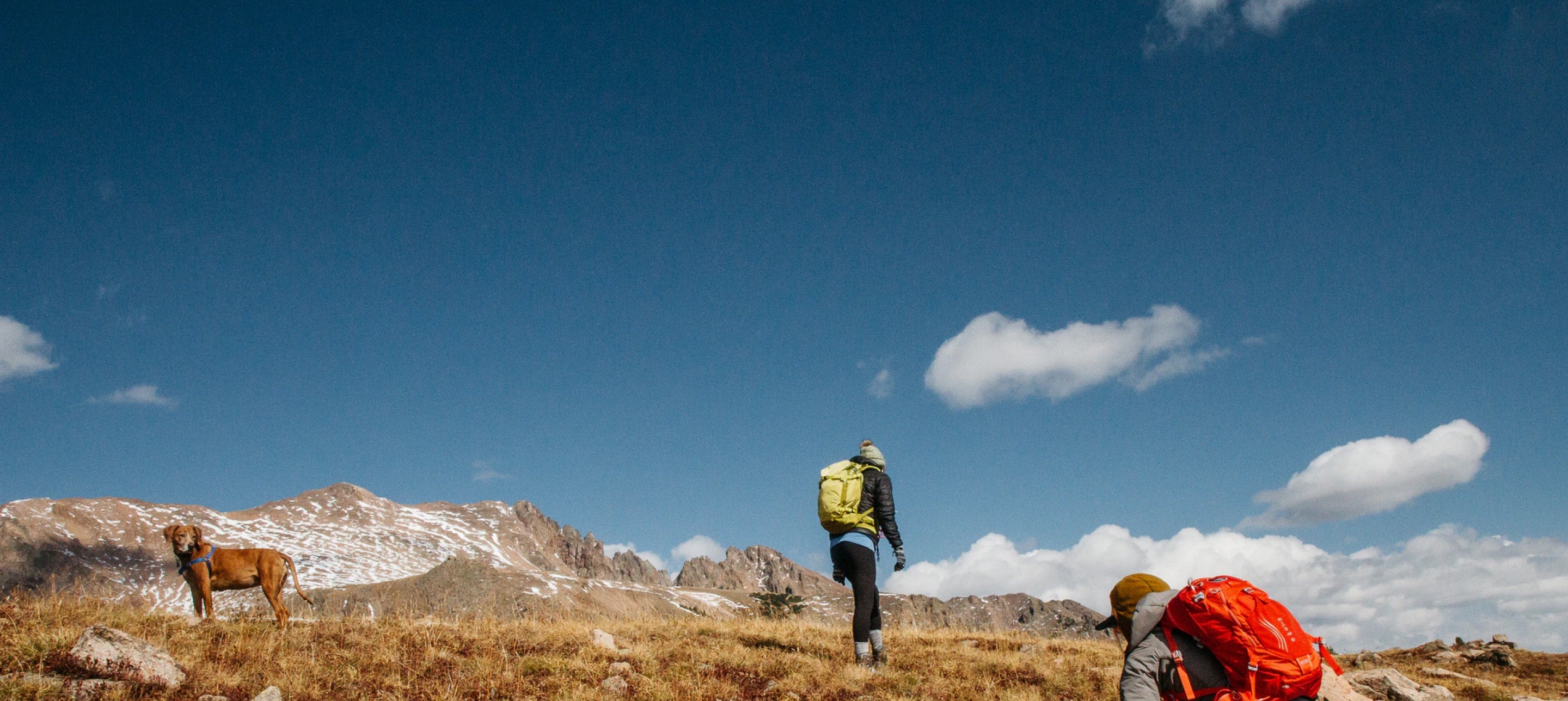 hikers hiking